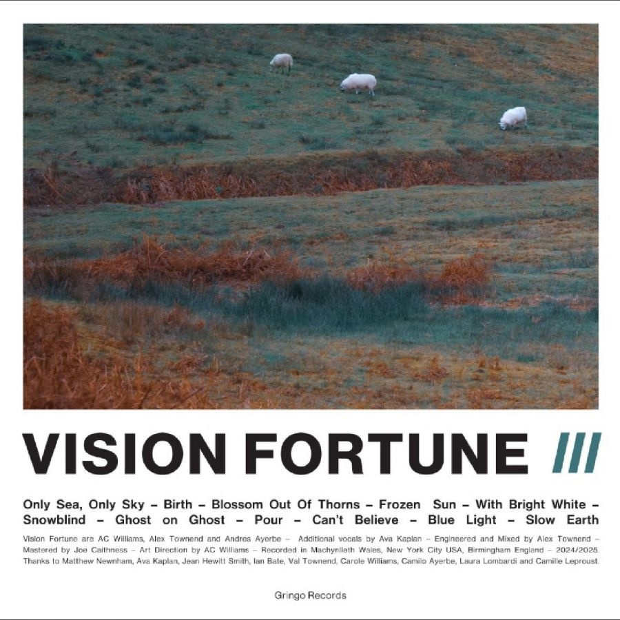 Vision Fortune - Iii