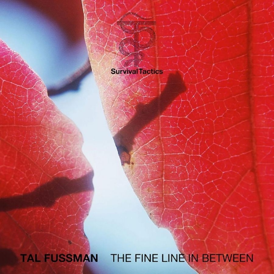Tal Fussman - The Fine Line In Between (2Lp W/ 12