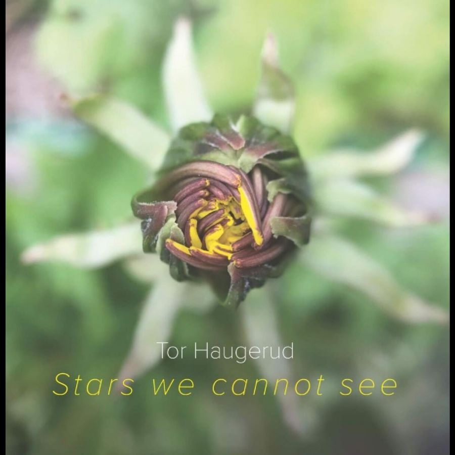 Haugerudtor - Stars We Cannot See (Vinyl)
