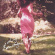 Nadine El Roubi - Life Is Beautiful Again Nadine El Roubi - Life Is Beautiful Again