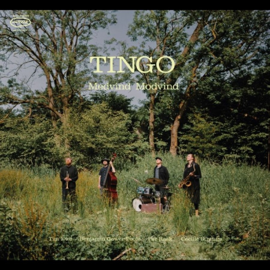 Tingo - Medvind Modvind