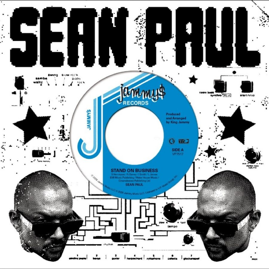 Sean Paul - Stand On Business