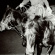 Holy Motors - Heaven's Night (Ltd. Transparent Ha Holy Motors - Heaven's Night (Ltd. Transparent Ha