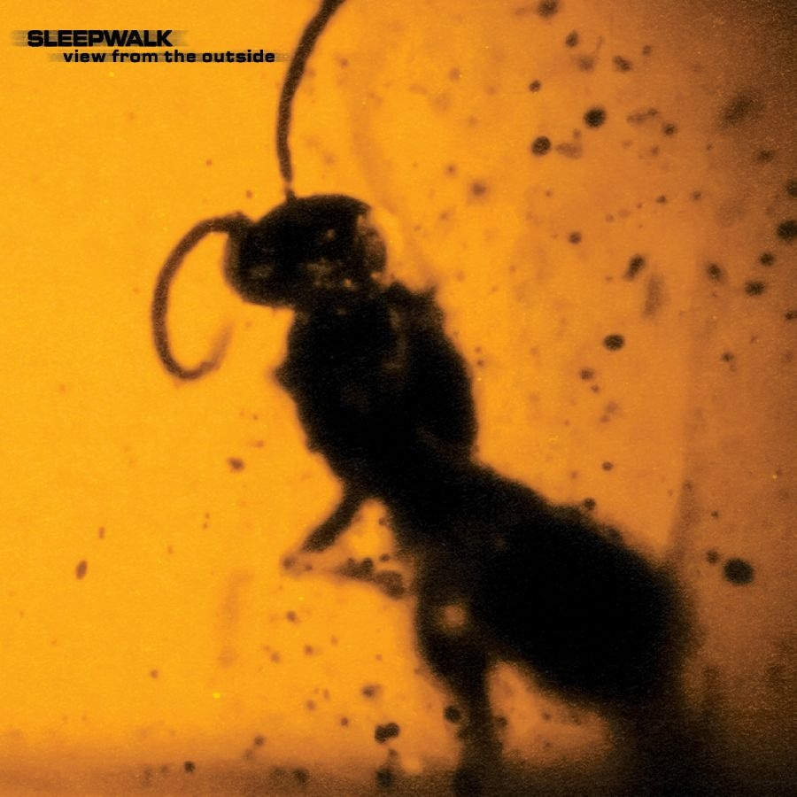 Sleepwalk - View From The Outside