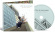 Salvador Sobral - A Flor Do Recomeço Salvador Sobral - A Flor Do Recomeço