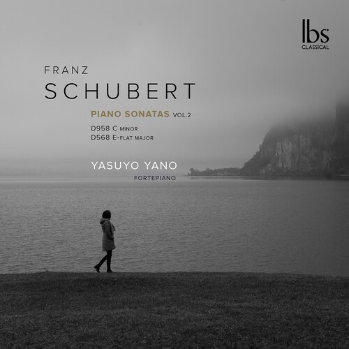 Franz Schubert - Fortepiano Sonatas