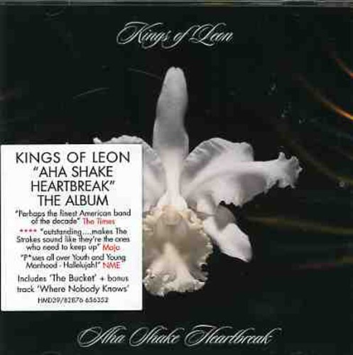 Kings Of Leon - Aha Shake Heartbreak