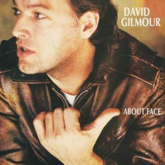 David Gilmour - About Face