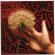 Parting Gifts - Strychnine Dandelions Parting Gifts - Strychnine Dandelions