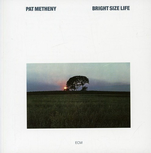 Metheny Pat - Bright Size Life
