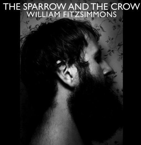 William Fitzsimmons - Sparrow And The Crow